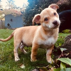 Meet your Posher, Kelley